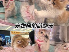 -金茂览秀城