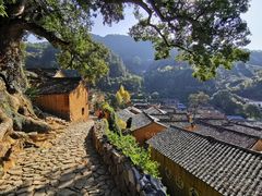 -杨家堂村