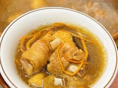 -阿山卓·野生菌火锅·纳西火塘烤肉