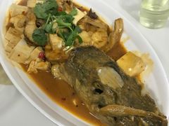 -煲来饱去冷水鱼