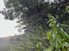 -北京西山国家森林公园