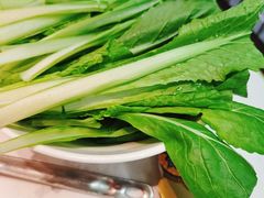 潮汕春菜苗-汕头八合里海记牛肉店(清河店)