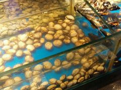 -鑫海汇海鲜烤肉自助(北国商城店)
