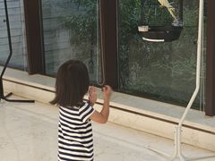 -上海崇明金茂凯悦酒店