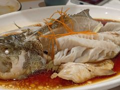 清蒸鲈鱼-梅利汴京烤鸭•开封豫菜地标店(晋安路店)