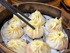 -莱莱小笼·乔艾