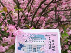 -武汉大学-樱园