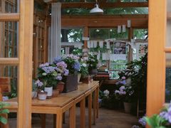 -懒鱼时光馆(沙坪坝店)