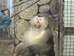 -黔灵山公园-南门售票处