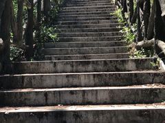 -青龙山国家森林公园