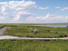 -呼和诺尔旅游景区