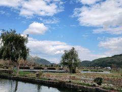 -比顿咖啡(和顺古镇店)
