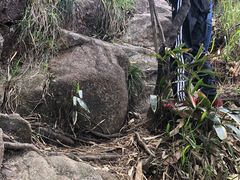 -鸡枕山