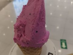 -野人先生Gelato(上海长宁龙之梦店)