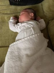 -皇家月府月子中心(沈阳店)