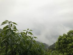 -大余丫山旅游度假区