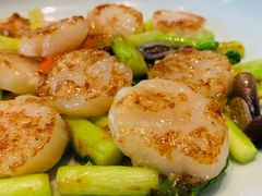 -子福慧(虹桥店)