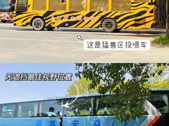 -上海野生动物园