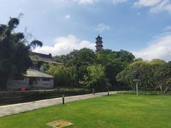 -江心屿景区