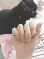 -BAE美甲美睫工作室