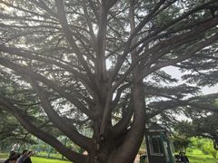 -国家植物园南园