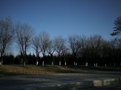 -汉长安城未央宫国家考古遗址公园