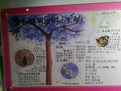 -上海昆虫博物馆