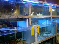 -桃源尚品海鲜酒楼(京港澳高速店)