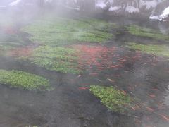 -水磨沟公园