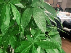 -眉州东坡(通州店)