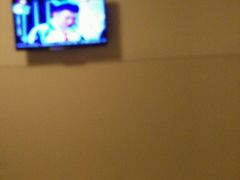 -白玉兰商务酒店(上海陆家嘴滨江店)