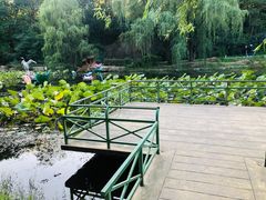 -棒棰岛宾馆景区