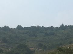 -阳台山自然风景区