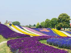 -南通洲际绿博园