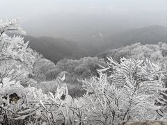 -紫金山山顶公园