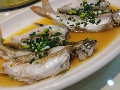 红尾激浪鱼-两户人家农家乐