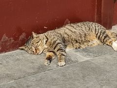 -西园戒幢律寺