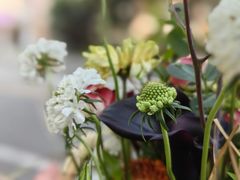 -花到家(富贵鸟花艺行)