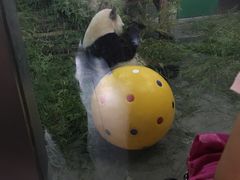 -无锡动物园·太湖欢乐园