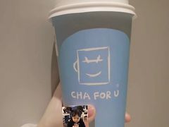 -CHAFORU星卡里(长江二路店)