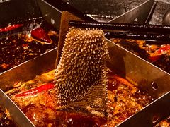 -周小明火锅(黑金冠社区店)