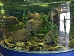 -荔湾足浴·按摩·SPA会所(龙华店)