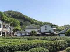 -龙井村