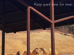 -沈阳森林动物园