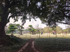-南宁南湖公园