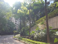 -龙湖·春森彼岸