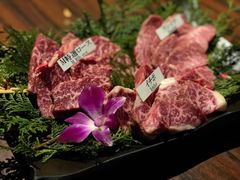 特选松阪牛6种-松阪牛焼肉M(法善寺横丁店)