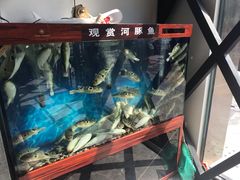 -肆月河豚·新淮扬(金融街店)