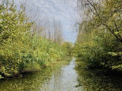 -溱湖国家湿地公园