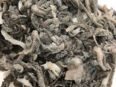 -鑫宝沙茶牛肉火锅(永泰店)